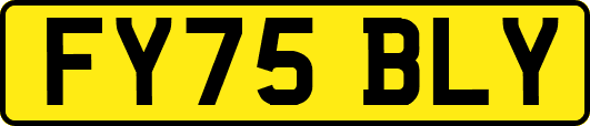 FY75BLY