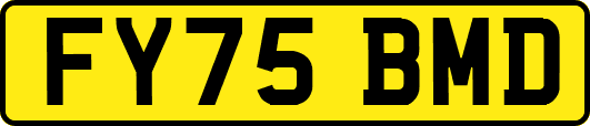 FY75BMD