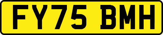 FY75BMH