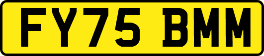 FY75BMM