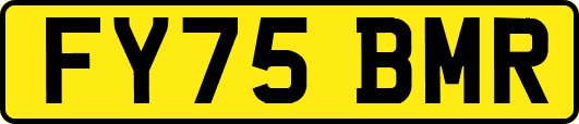 FY75BMR