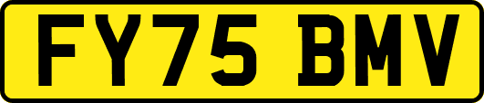 FY75BMV