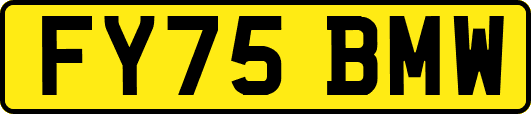 FY75BMW