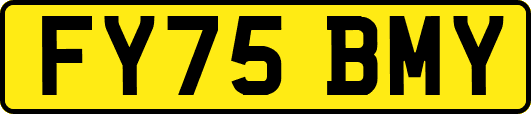 FY75BMY