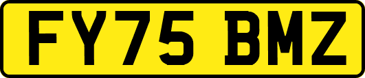 FY75BMZ