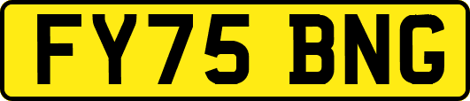 FY75BNG
