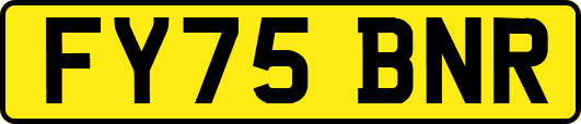 FY75BNR