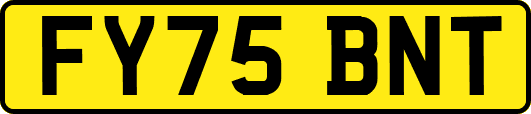 FY75BNT