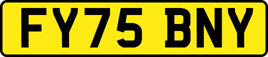 FY75BNY