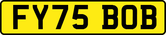 FY75BOB