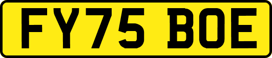 FY75BOE