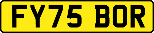 FY75BOR