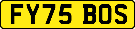 FY75BOS