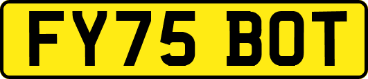 FY75BOT