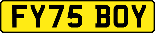 FY75BOY