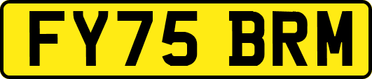 FY75BRM