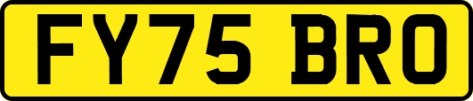 FY75BRO