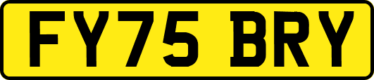 FY75BRY
