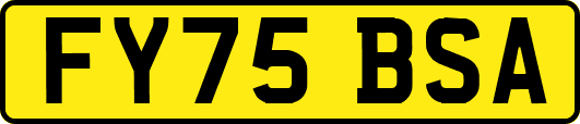 FY75BSA