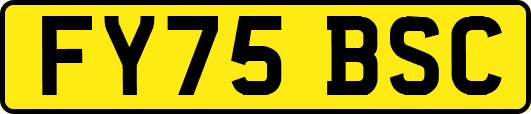 FY75BSC