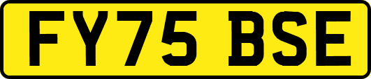 FY75BSE