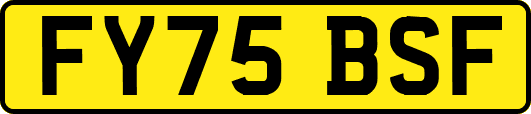 FY75BSF