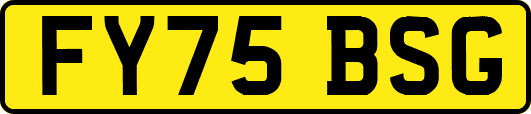 FY75BSG