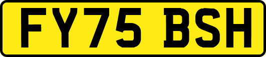 FY75BSH