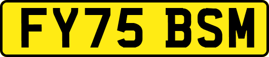 FY75BSM