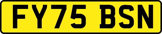 FY75BSN