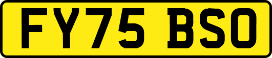 FY75BSO