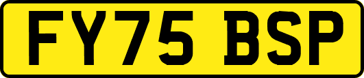 FY75BSP
