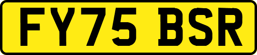 FY75BSR