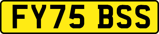 FY75BSS