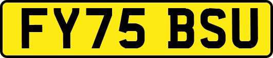 FY75BSU