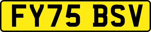 FY75BSV