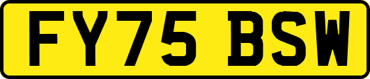 FY75BSW