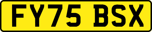FY75BSX