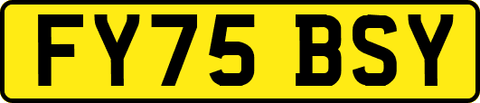 FY75BSY