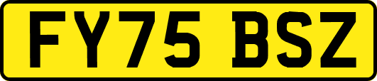 FY75BSZ