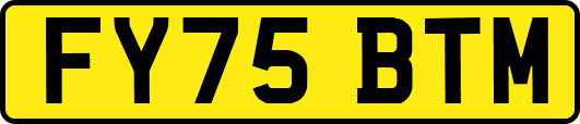FY75BTM