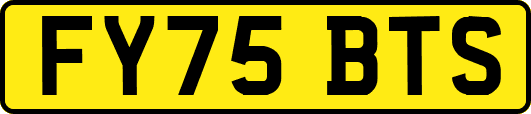FY75BTS