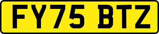 FY75BTZ