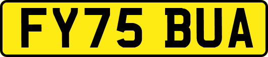 FY75BUA