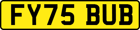 FY75BUB