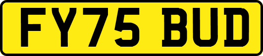 FY75BUD
