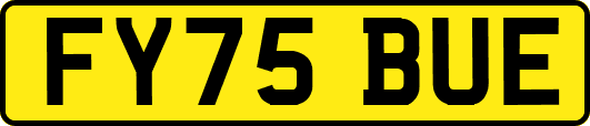FY75BUE