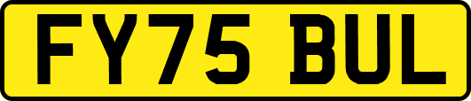 FY75BUL