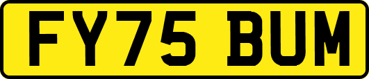 FY75BUM