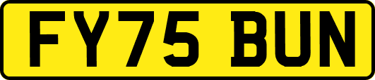 FY75BUN